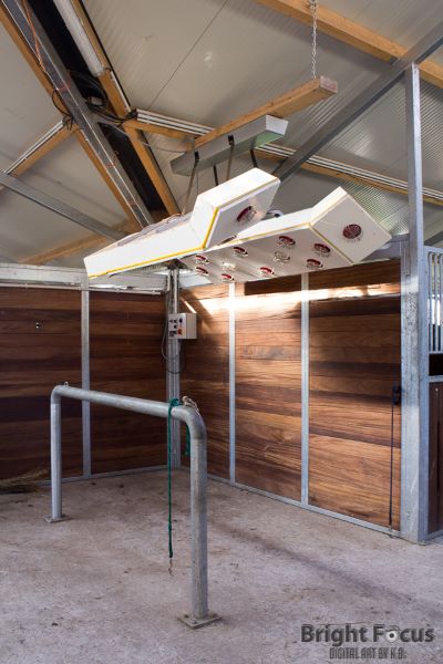 Solarium für Pferde auf Hof Eichkamp